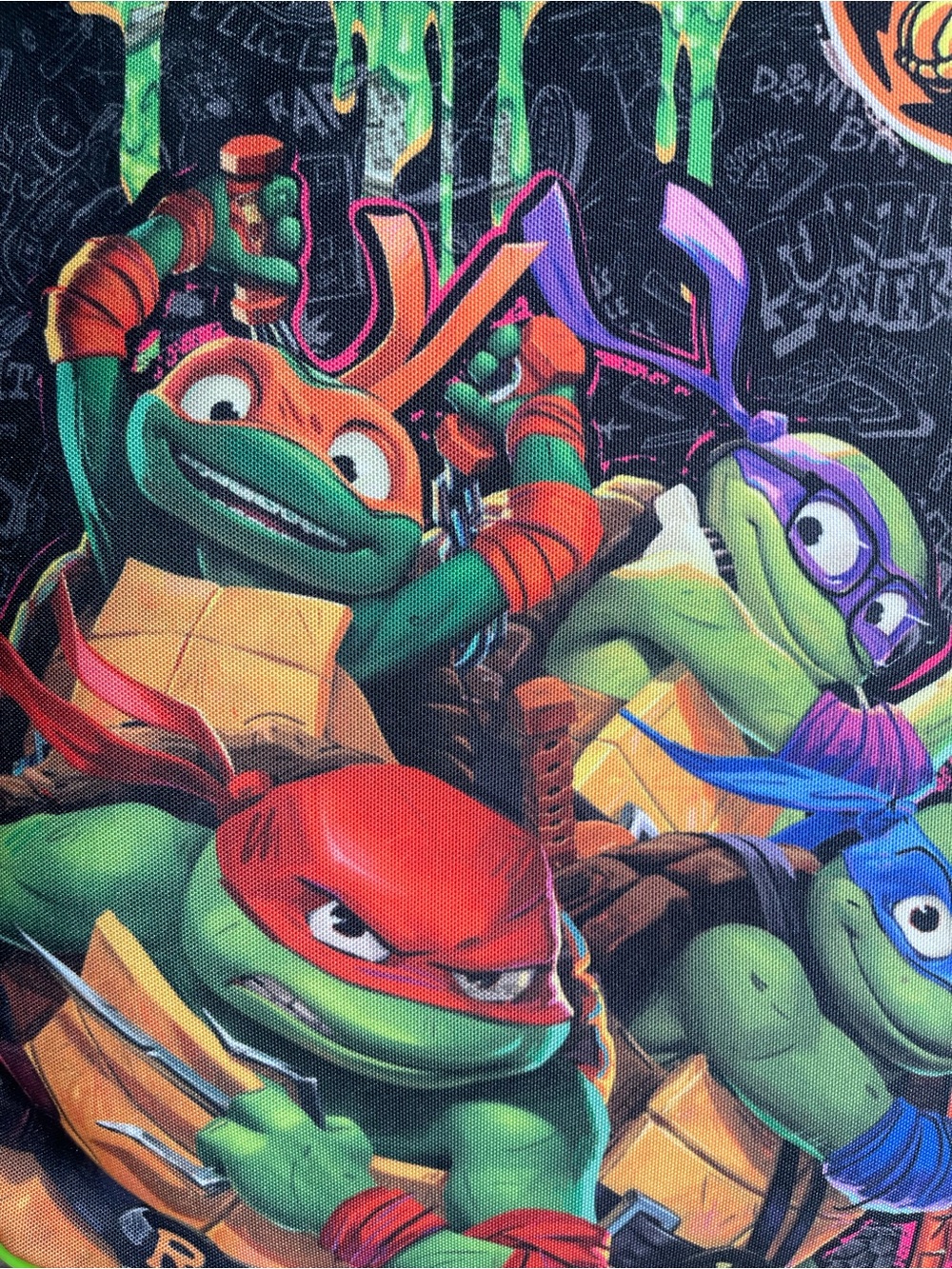 Nickelodeon Teenage Mutant Ninja Turtles Rolling Luggage - Green Senior - Picture 2 of 8